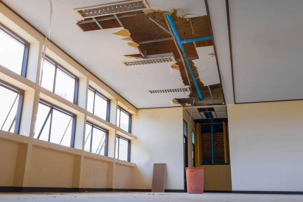 Best Flood restoration services  in North Lewisburg, OH
